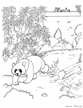 panda-nurie-008