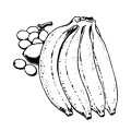 banana-nurie-009