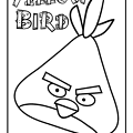 angry-birds-nurie-019