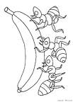 アリ