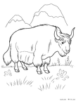 baison-nurie-03