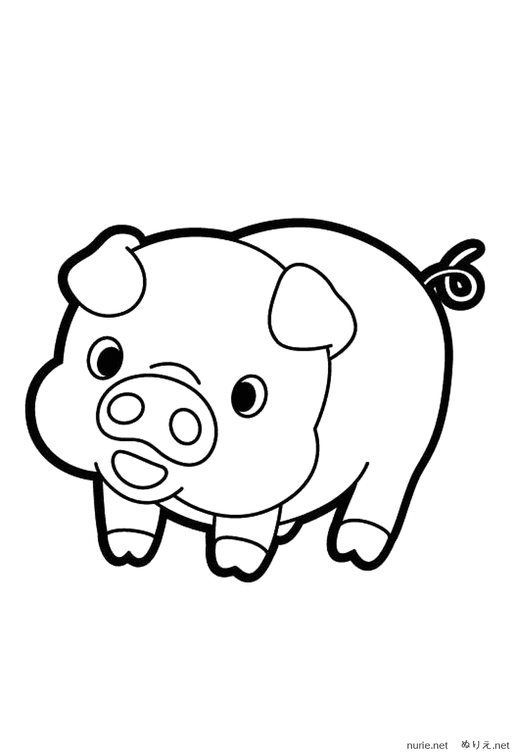 buta-nurie-01.png