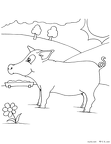 buta-nurie-19