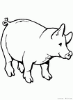 buta-nurie-20