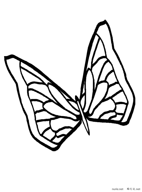 chou-nurie-002.png