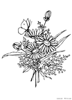 chou-nurie-008