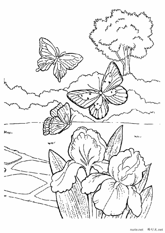 chou-nurie-014.png
