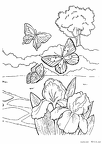 chou-nurie-014