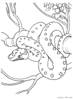 hebi-nurie-005