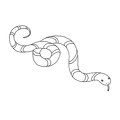 hebi-nurie-012
