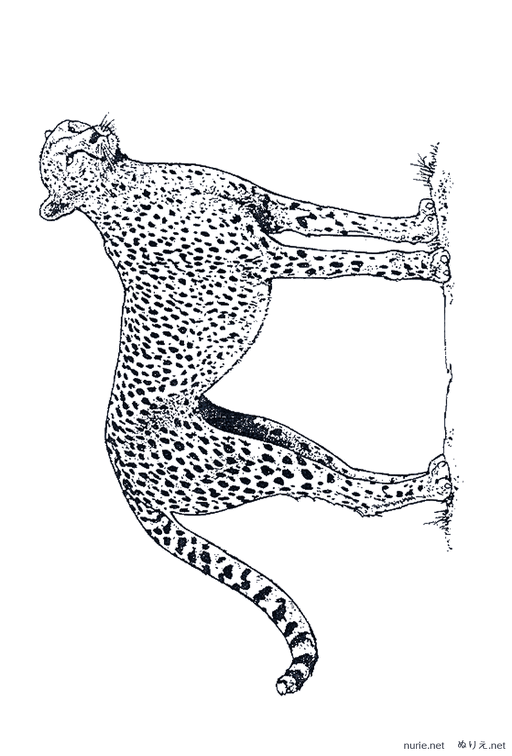 hyou-nurie-005.png