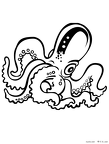 ika-nurie-005