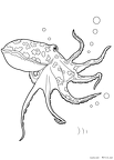 ika-nurie-006