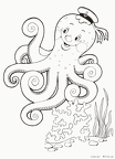 タコ、イカ、クラゲ