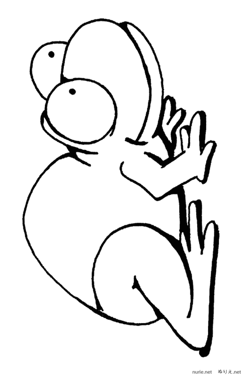 kaeru-nurie-003.png