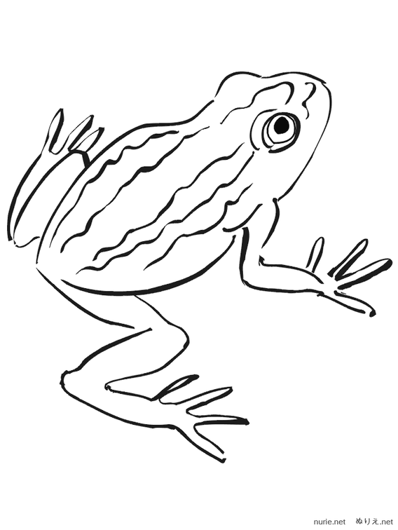 ぬりえ Nurie Net