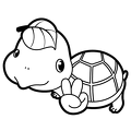 kame-nurie-004