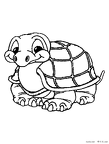 kame-nurie-014