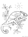 kamereon-nurie-05