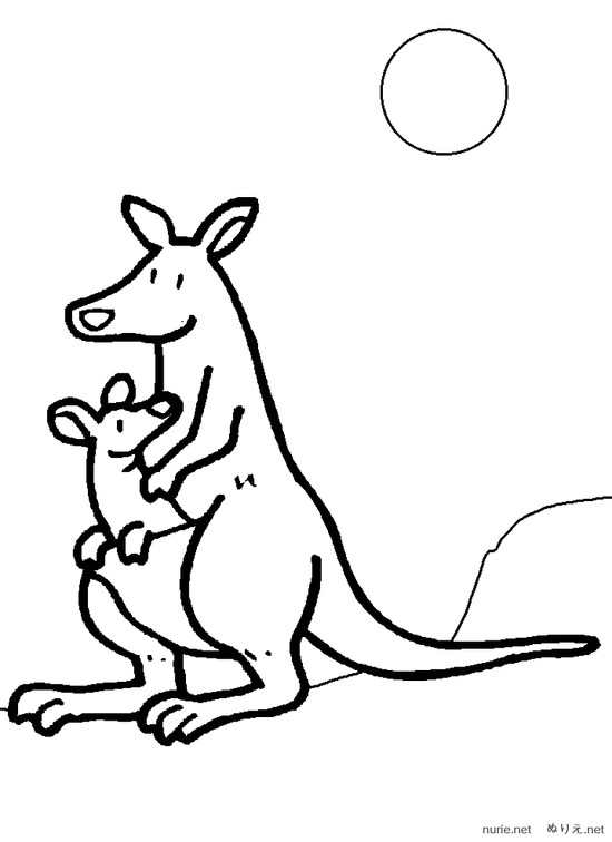kangaruu-nurie-03.png