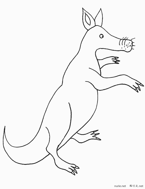 kangaruu-nurie-12.png