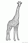 kirin-nurie-016
