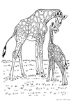 kirin-nurie-019