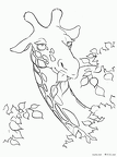 kirin-nurie-024