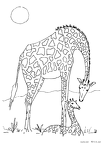 kirin-nurie-028