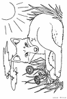 kitsune-nurie-011