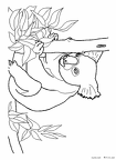 koara-nurie-001