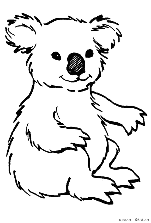 koara-nurie-003.png