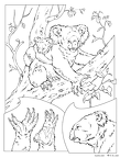 koara-nurie-008