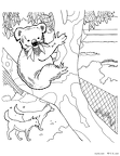 koara-nurie-009