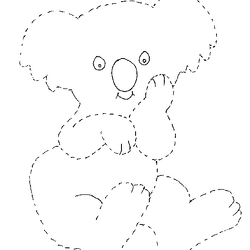 コアラ