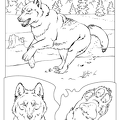 ookami-nurie-009