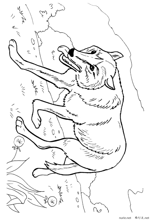ookami-nurie-010.png