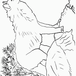 オオカミ