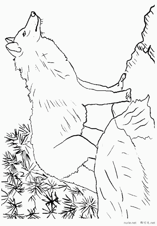 ookami-nurie-012.png