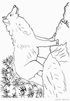 オオカミ