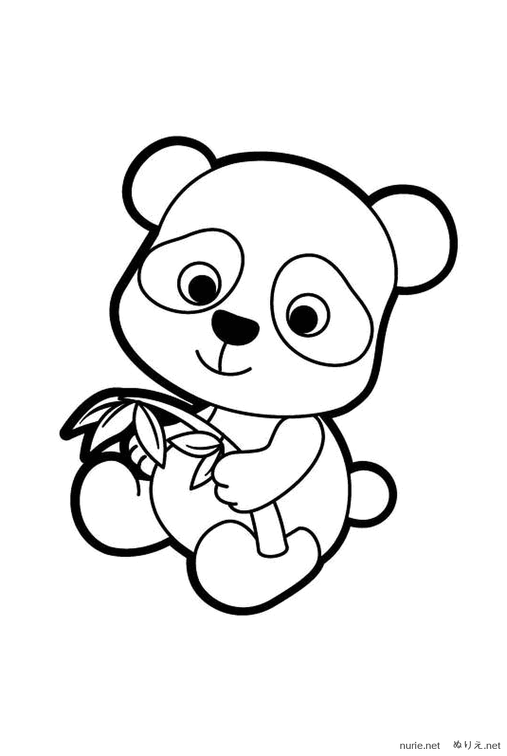 panda-nurie-002.png