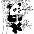 panda-nurie-005