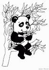 panda-nurie-005