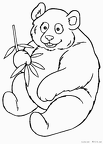 パンダ