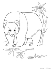 panda-nurie-007