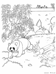 panda-nurie-008