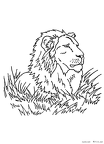 raion-nurie-019