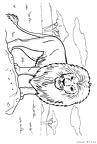 raion-nurie-025