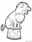 raion-nurie-067