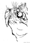 raion-nurie-068